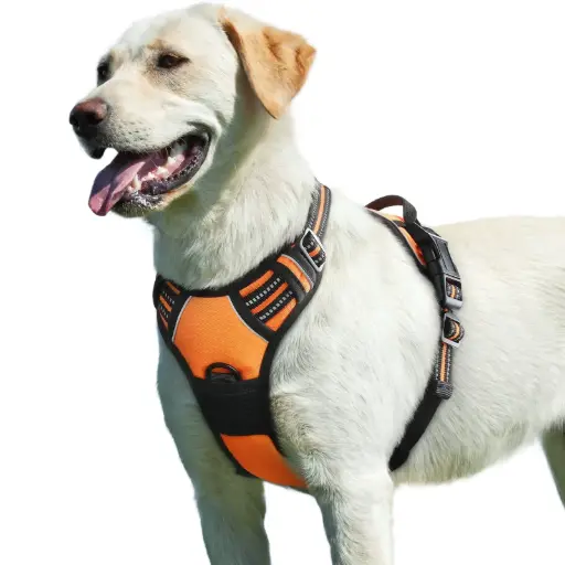 Dog Harness